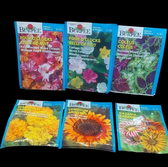 Flower Seeds Choose 10 for $20.00 - Picture 6 of 10